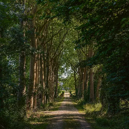 Nyaraló De L'ocean Genouille (Charente-Maritime)